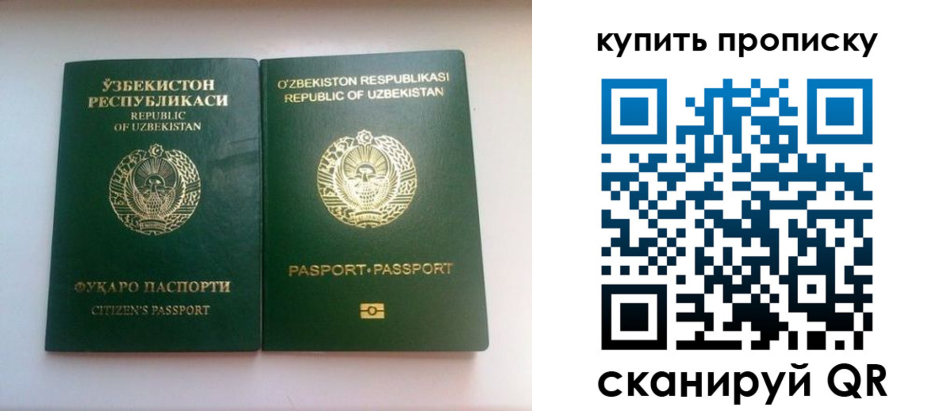 временная прописка в Кольчугино